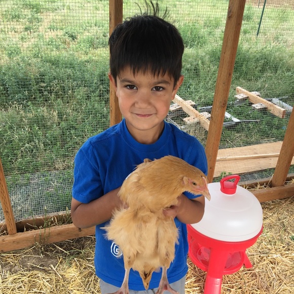 Meet your Posher, Deanna - Picture 7 of 8